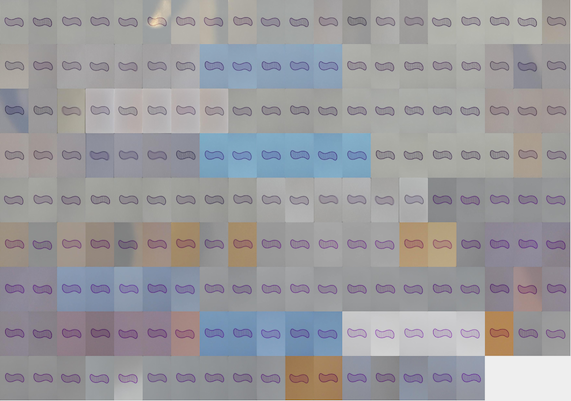 1 purple striped squiggle