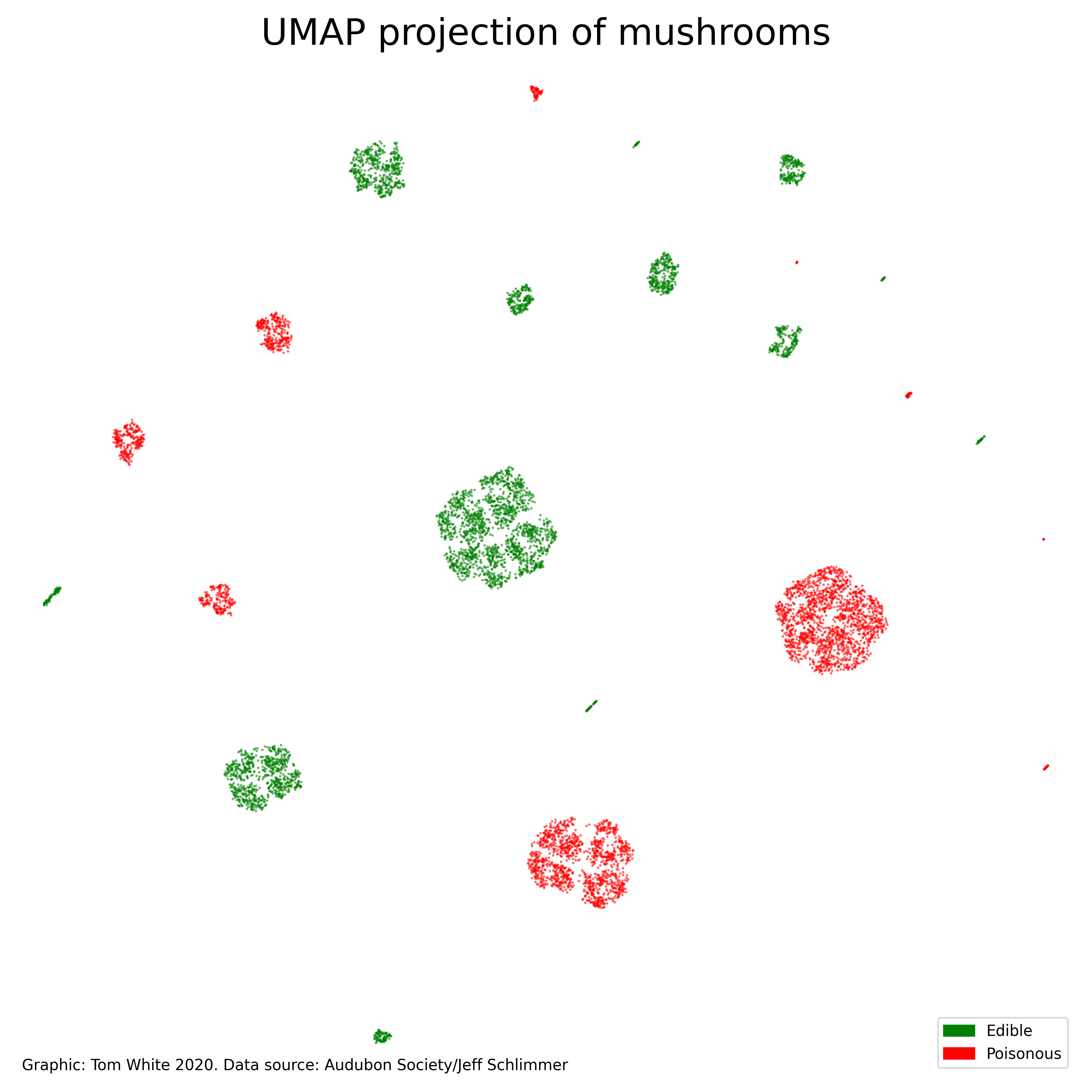 UMAP projection of mushrooms